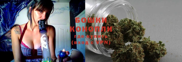PSILOCYBIN Аркадак