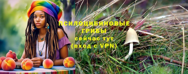 2c-b Семикаракорск