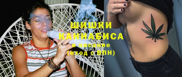 PSILOCYBIN Аркадак