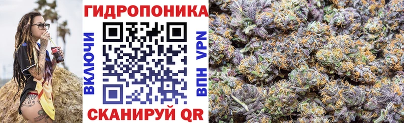 дарнет шоп  Зубцов  Бошки Шишки план 